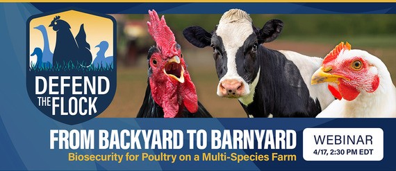 From Backyard to Barn Yard: Biosecurity for Poultry on a Multispecies Farm